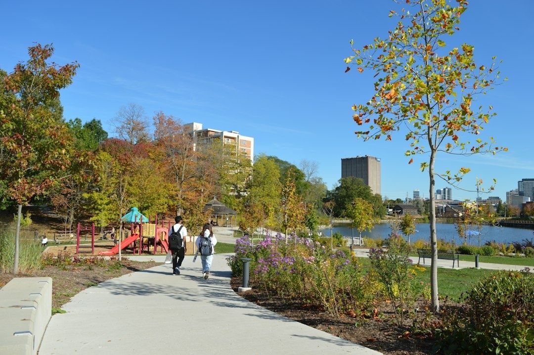 Höstpromenad genom en grön stadspark vid vattnet
